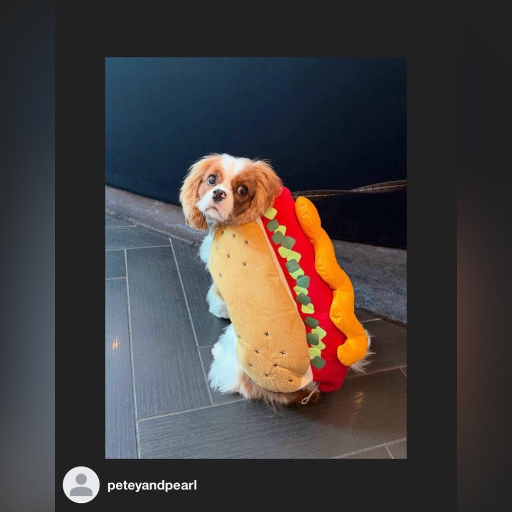 Hot Dog Costume for Dogs or Cats - XS